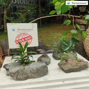 Sold To Jalgaon, Maharashtra Green Rock Planters For Succulent