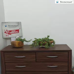 Small Stone Pots And Planters For Indoors, Hotel Lobbies, Console Tables, Receptions, Window Sills