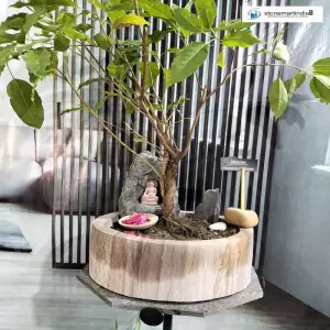 Indoor Stone Planter For Bonsai
