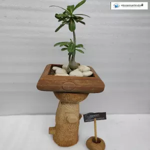 Stone Bonsai Planter With Stand