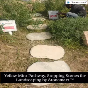 Yellow Mint Sandstone Pathway Stones Or Stepping Stones For Landscaping And Zen Garden