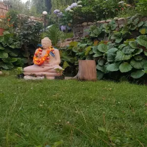 Client Testimonial For Garden Buddha Idol From Shimla, Himachal Pradesh