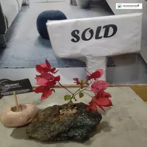 Sold Stone Planter For Succulents