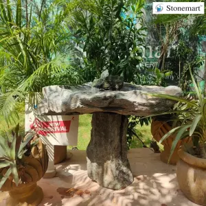 2 Feet Rock Birdbath Cum Water Fountain