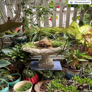 Client Testimonial Of Stone Bird Bath Fountain From Hosur, Tamil Nadu