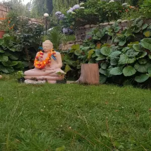 Client Testimonial For Garden Buddha From Shimla, Himachal Pradesh