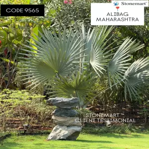 Client Testimonial Of 3 Feet Rock Boulder Bird Bath From Alibag, Maharashtra