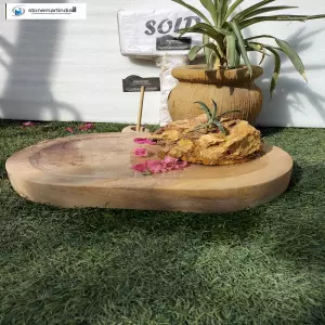 Sold Bonsai Forest Plate