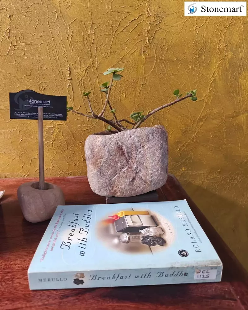 Stone Planters For Minimalist Home Decor